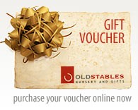 Gift Voucher